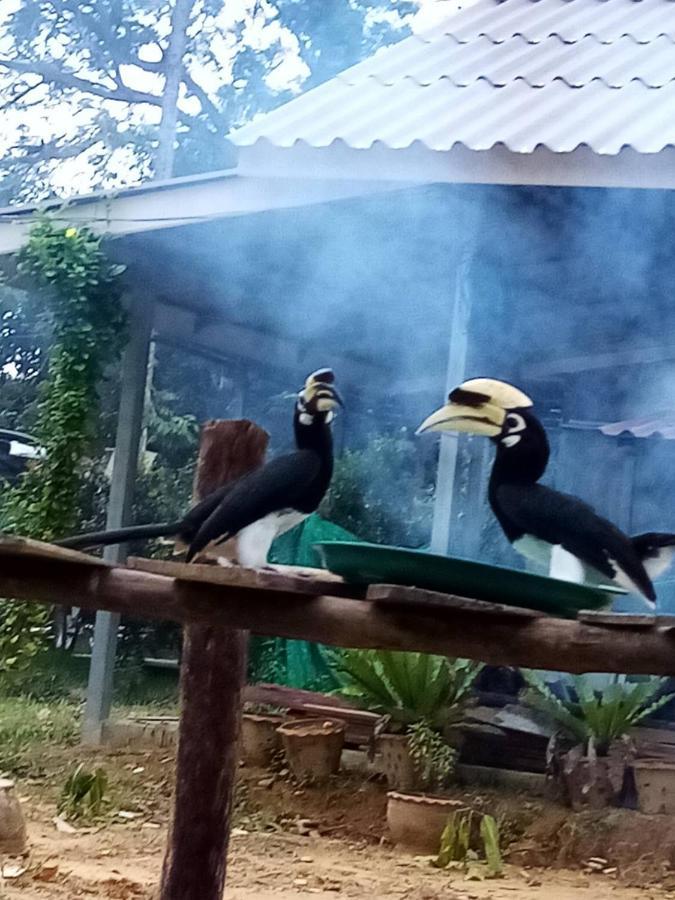 Eco Bungalow Koh Phayam Bagian luar foto