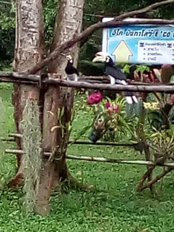 Eco Bungalow Koh Phayam Bagian luar foto