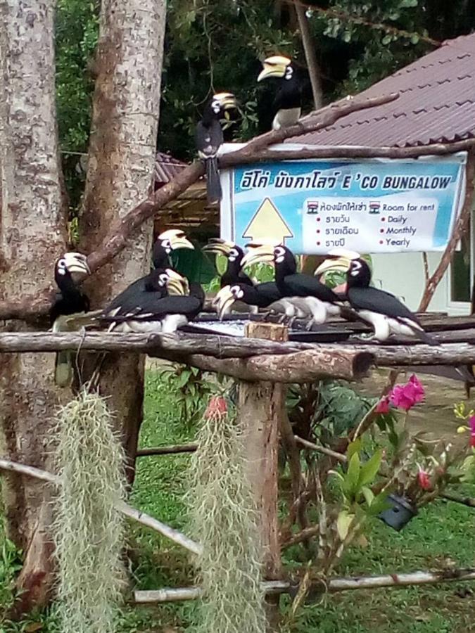 Eco Bungalow Koh Phayam Bagian luar foto