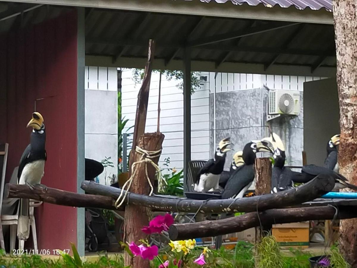 Eco Bungalow Koh Phayam Bagian luar foto