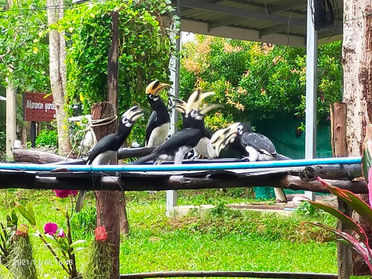 Eco Bungalow Koh Phayam Bagian luar foto
