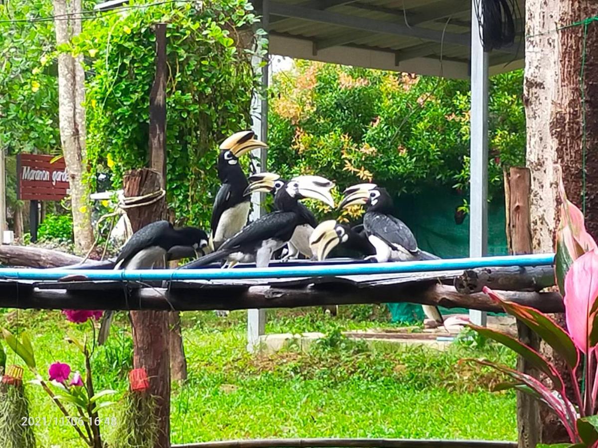 Eco Bungalow Koh Phayam Bagian luar foto