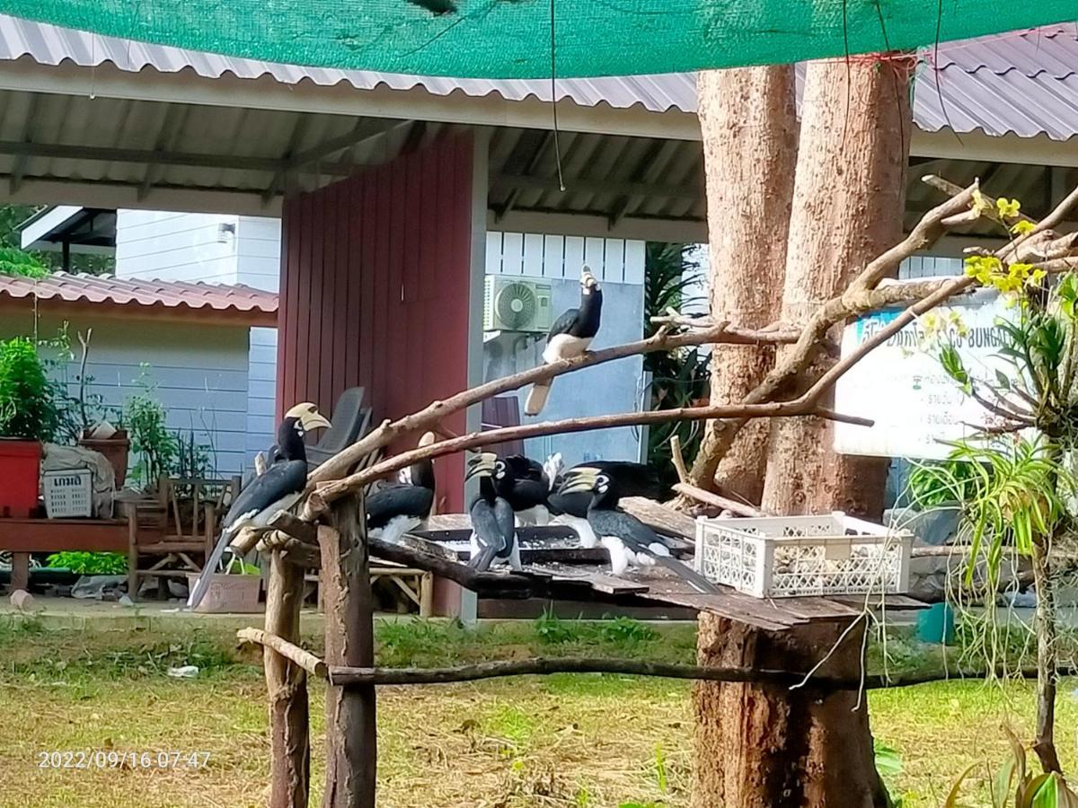Eco Bungalow Koh Phayam Bagian luar foto