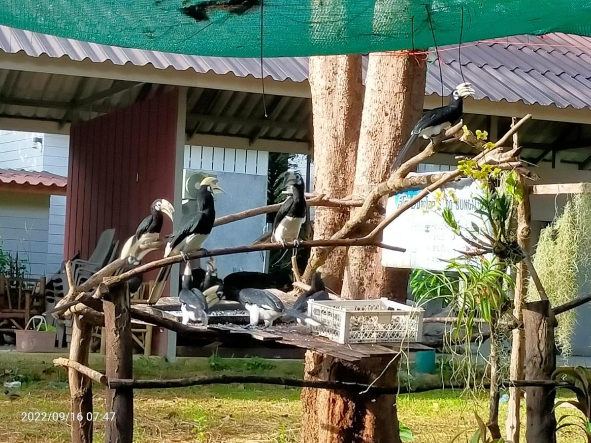 Eco Bungalow Koh Phayam Bagian luar foto