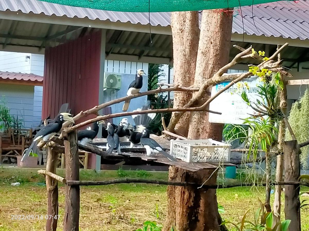 Eco Bungalow Koh Phayam Bagian luar foto