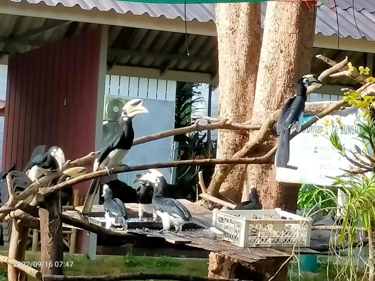 Eco Bungalow Koh Phayam Bagian luar foto