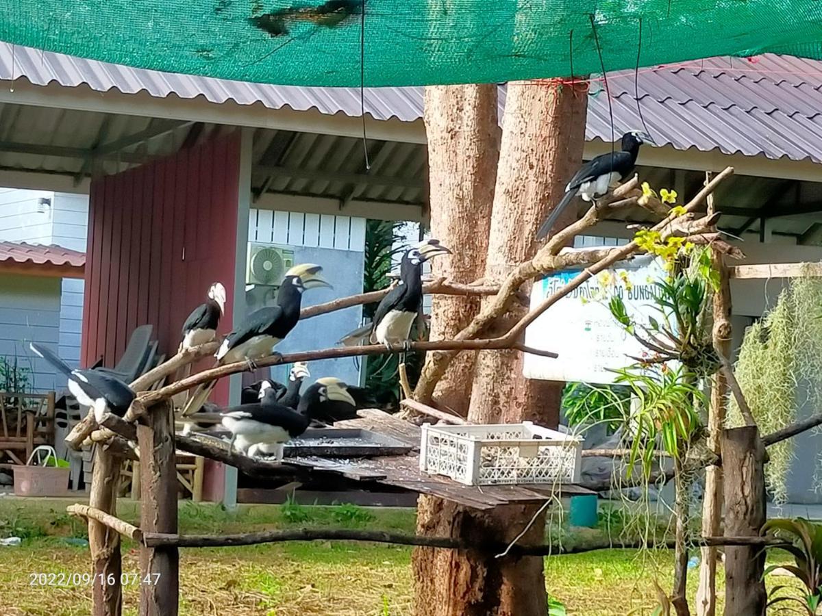 Eco Bungalow Koh Phayam Bagian luar foto