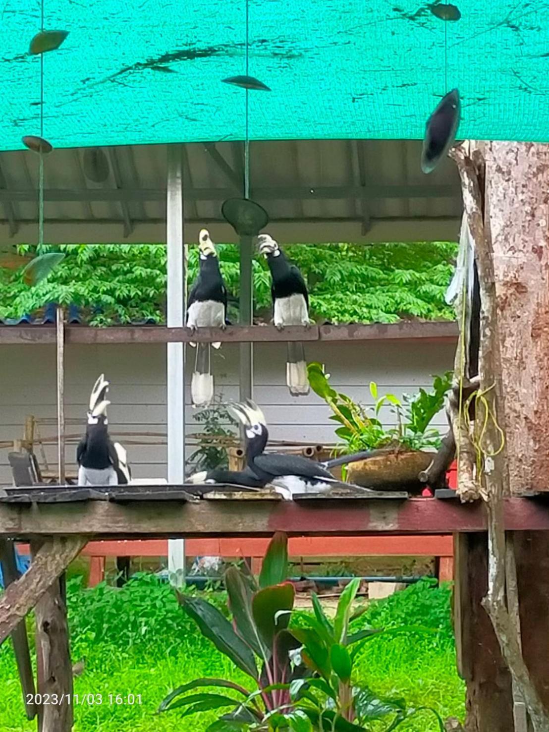 Eco Bungalow Koh Phayam Bagian luar foto