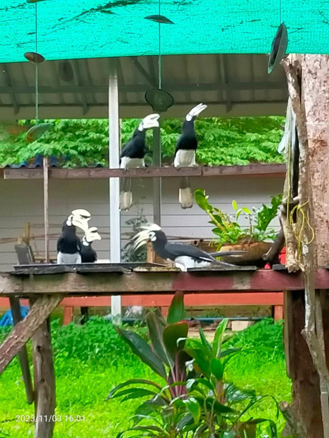 Eco Bungalow Koh Phayam Bagian luar foto