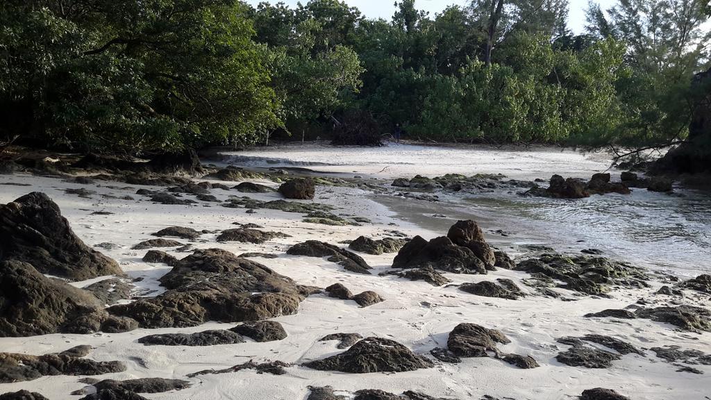 Eco Bungalow Koh Phayam Bagian luar foto
